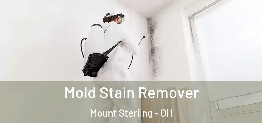  Mold Stain Remover Mount Sterling - OH