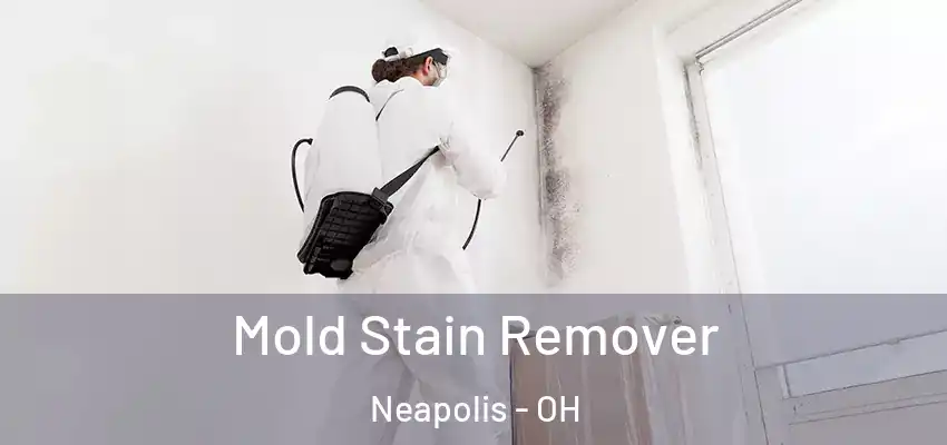  Mold Stain Remover Neapolis - OH