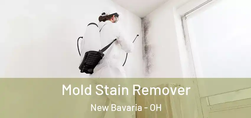  Mold Stain Remover New Bavaria - OH