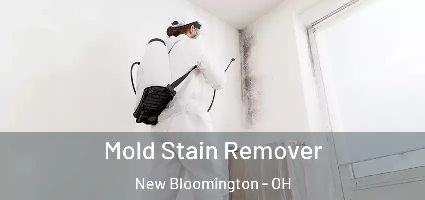  Mold Stain Remover New Bloomington - OH