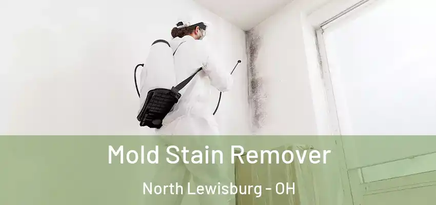  Mold Stain Remover North Lewisburg - OH