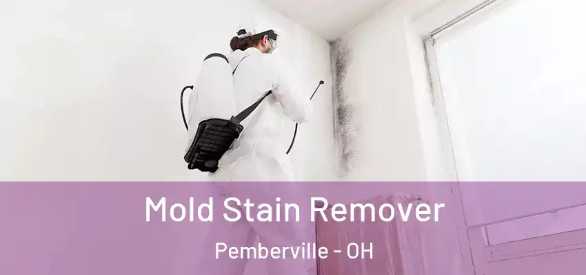  Mold Stain Remover Pemberville - OH