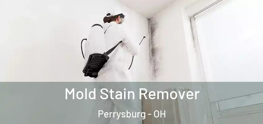  Mold Stain Remover Perrysburg - OH