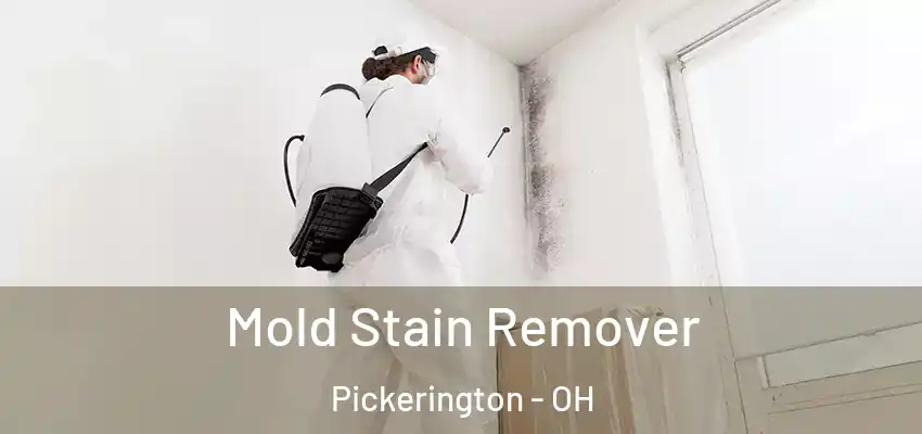  Mold Stain Remover Pickerington - OH