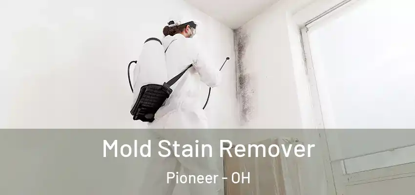  Mold Stain Remover Pioneer - OH