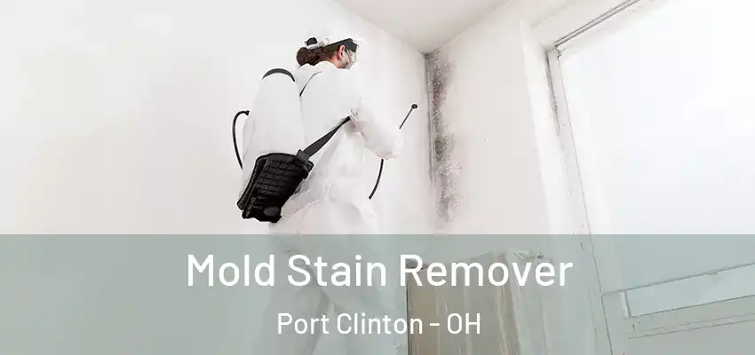  Mold Stain Remover Port Clinton - OH
