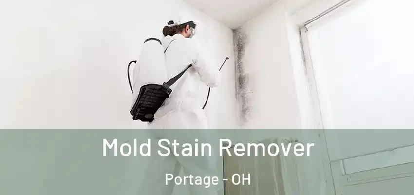  Mold Stain Remover Portage - OH