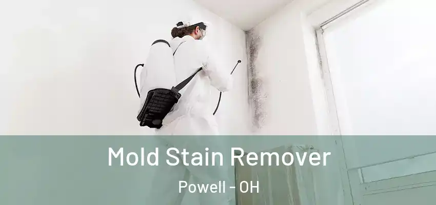  Mold Stain Remover Powell - OH