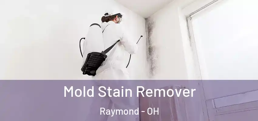  Mold Stain Remover Raymond - OH
