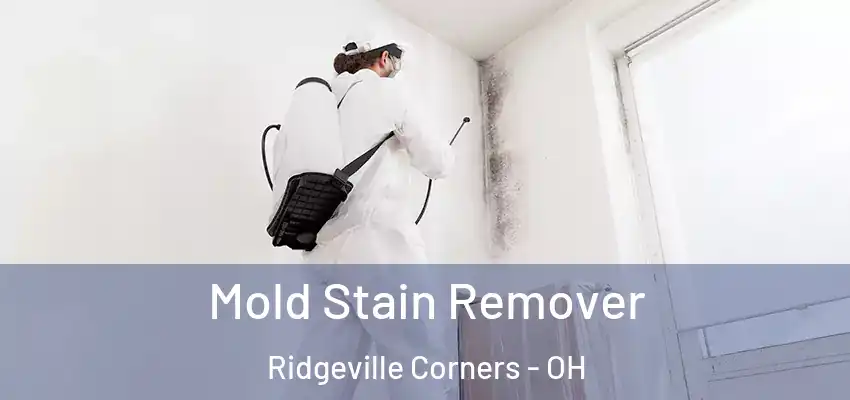  Mold Stain Remover Ridgeville Corners - OH