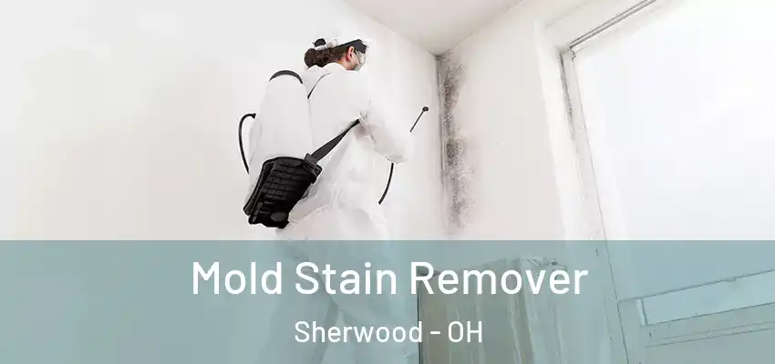  Mold Stain Remover Sherwood - OH