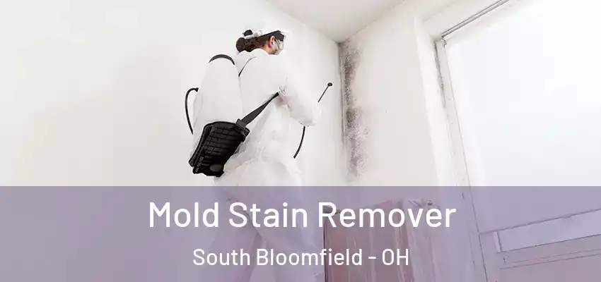  Mold Stain Remover South Bloomfield - OH