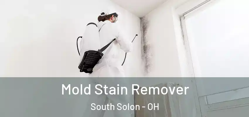  Mold Stain Remover South Solon - OH
