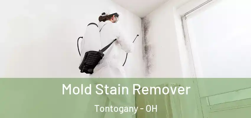  Mold Stain Remover Tontogany - OH