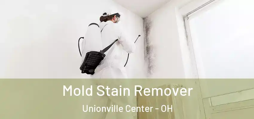  Mold Stain Remover Unionville Center - OH
