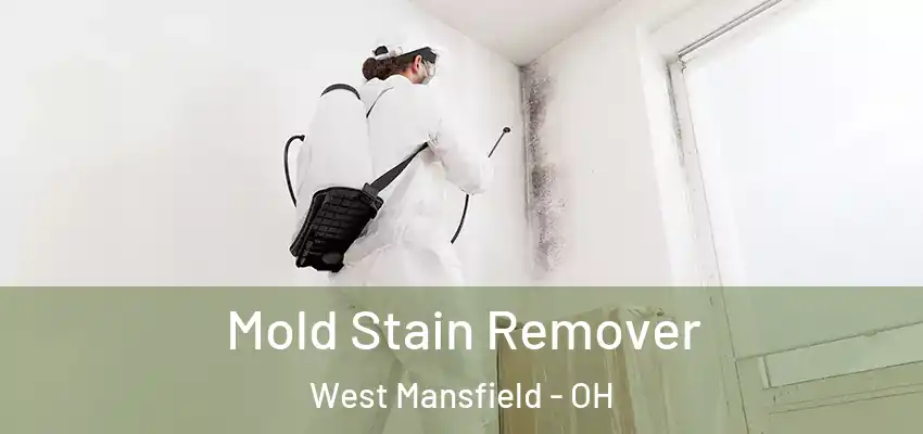 Mold Stain Remover West Mansfield - OH