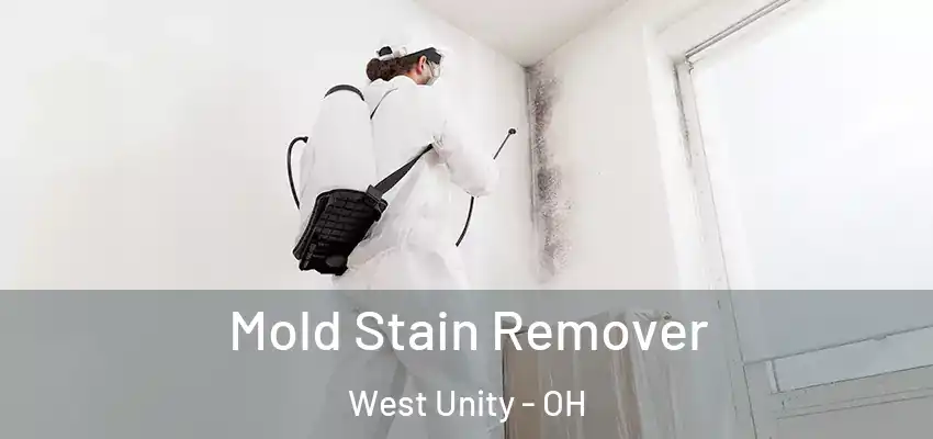  Mold Stain Remover West Unity - OH