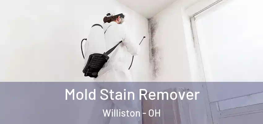  Mold Stain Remover Williston - OH