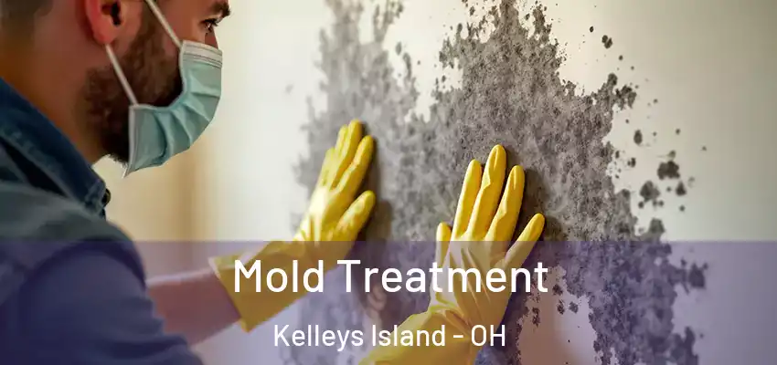  Mold Treatment Kelleys Island - OH