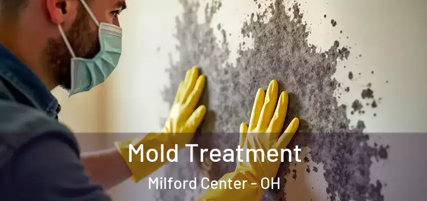  Mold Treatment Milford Center - OH
