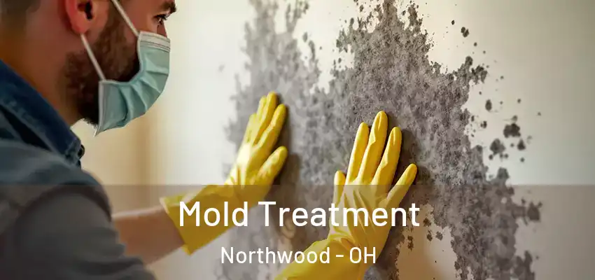  Mold Treatment Northwood - OH