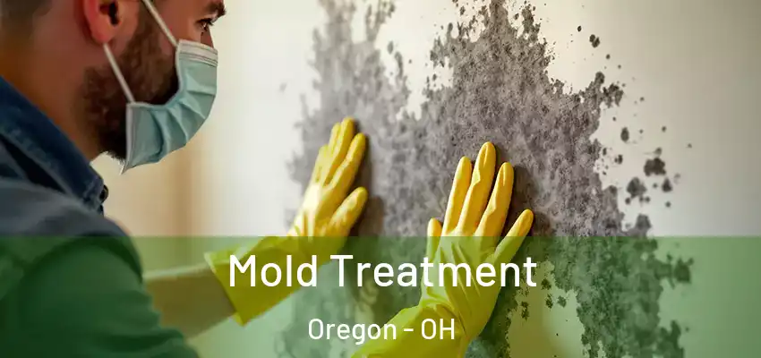  Mold Treatment Oregon - OH