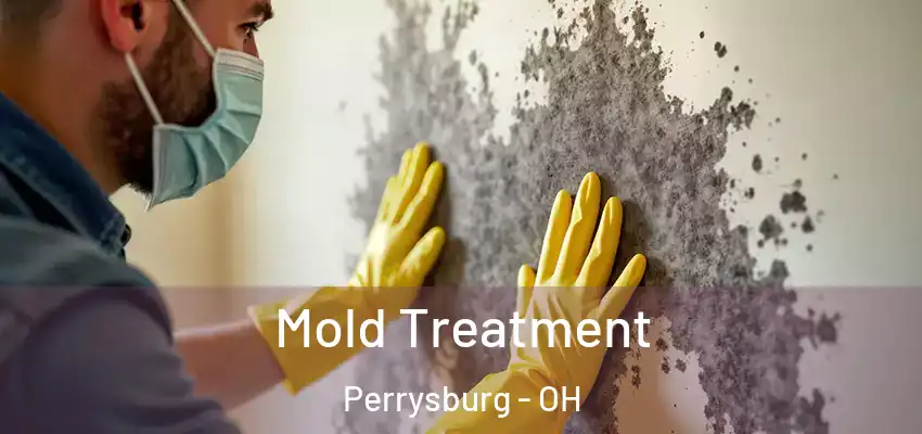  Mold Treatment Perrysburg - OH