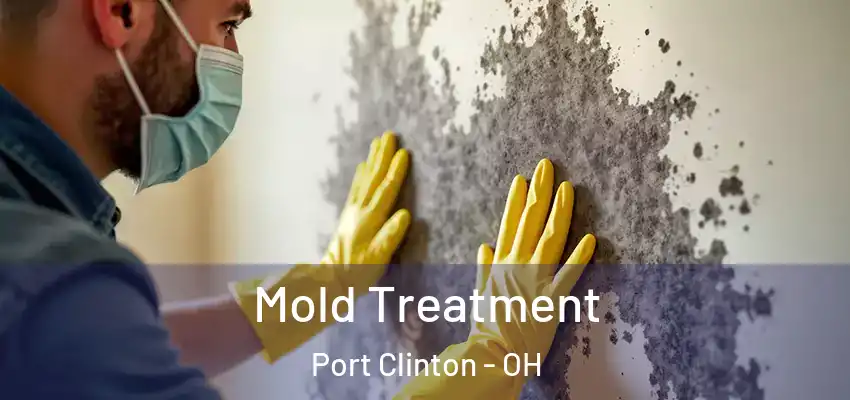  Mold Treatment Port Clinton - OH