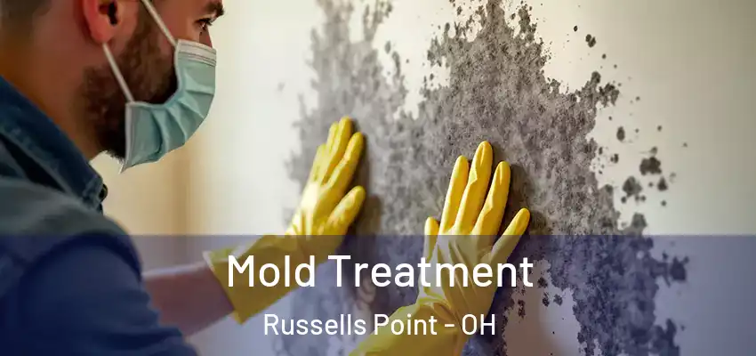  Mold Treatment Russells Point - OH