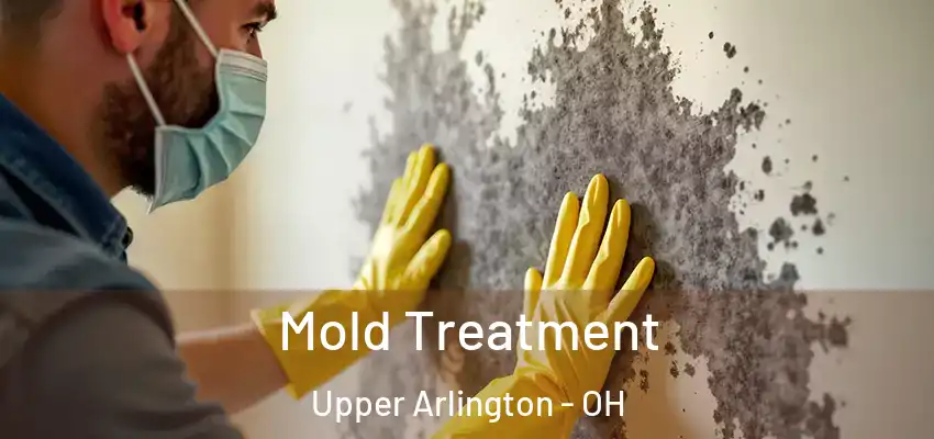  Mold Treatment Upper Arlington - OH