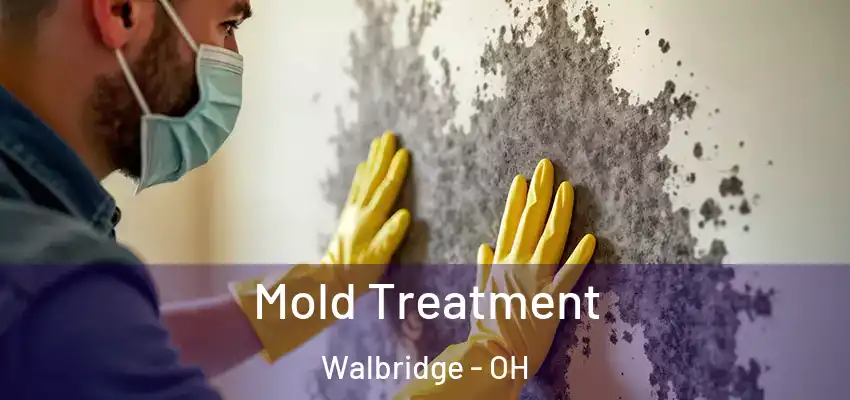  Mold Treatment Walbridge - OH