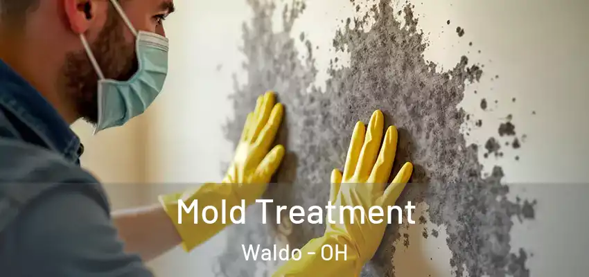  Mold Treatment Waldo - OH