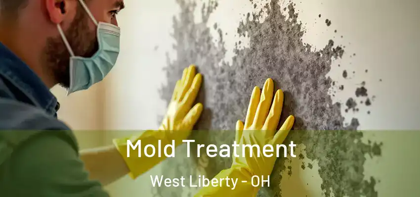  Mold Treatment West Liberty - OH