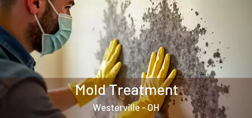  Mold Treatment Westerville - OH