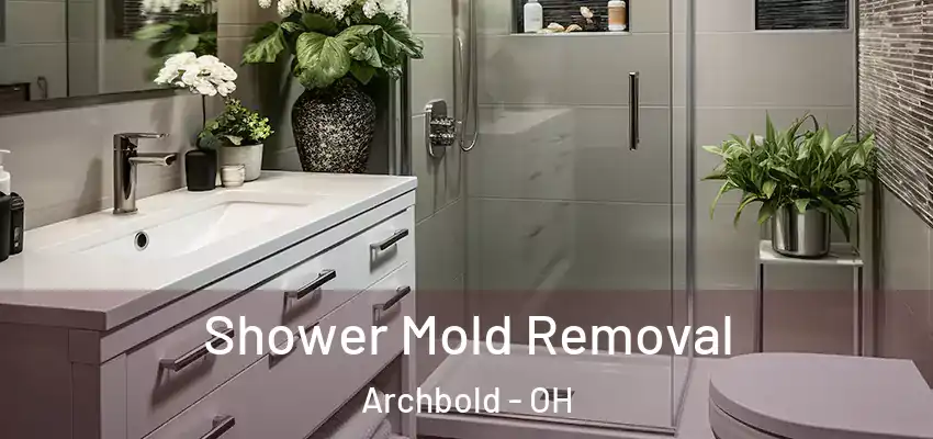  Shower Mold Removal Archbold - OH