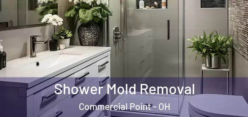 Shower Mold Removal Commercial Point - OH