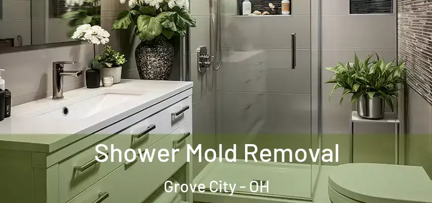  Shower Mold Removal Grove City - OH