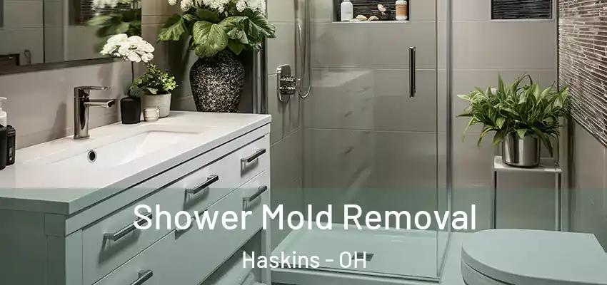  Shower Mold Removal Haskins - OH