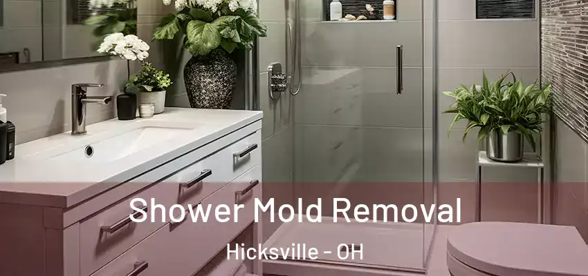  Shower Mold Removal Hicksville - OH