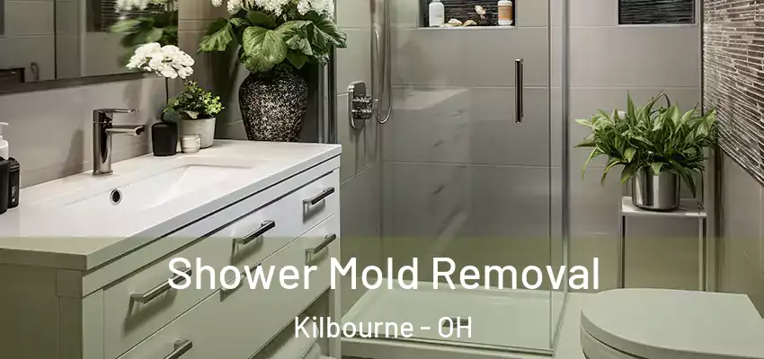  Shower Mold Removal Kilbourne - OH
