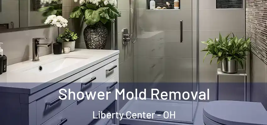  Shower Mold Removal Liberty Center - OH