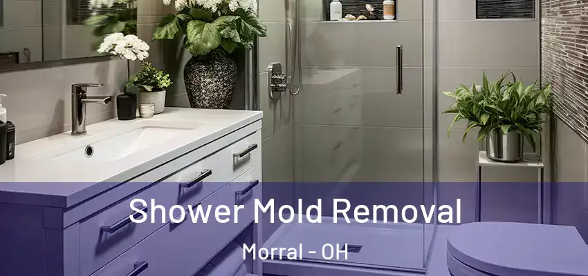  Shower Mold Removal Morral - OH