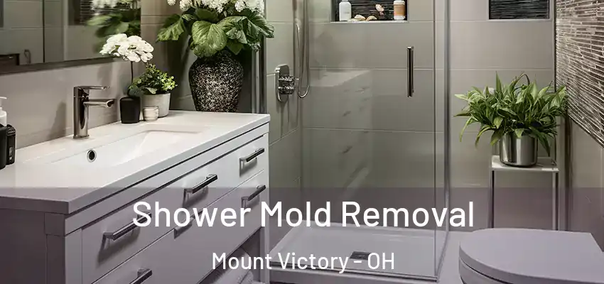  Shower Mold Removal Mount Victory - OH