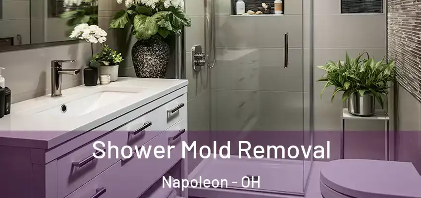  Shower Mold Removal Napoleon - OH