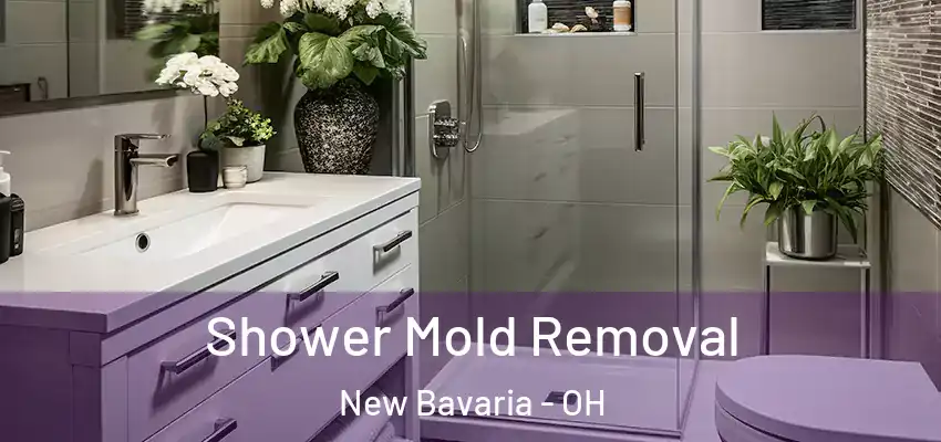  Shower Mold Removal New Bavaria - OH