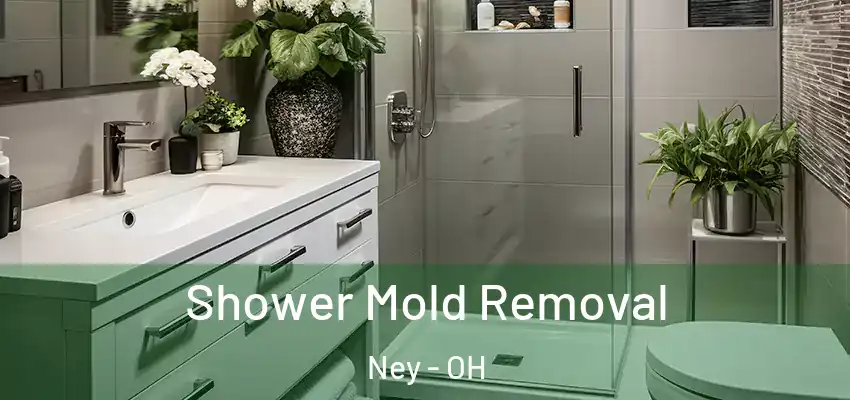  Shower Mold Removal Ney - OH