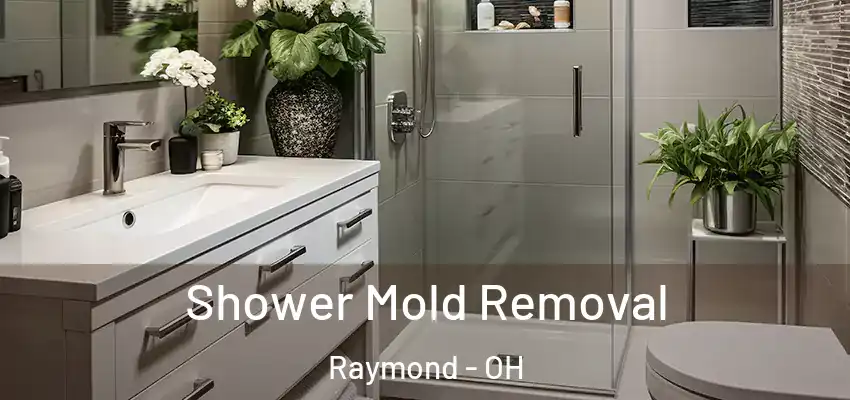  Shower Mold Removal Raymond - OH