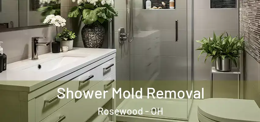  Shower Mold Removal Rosewood - OH