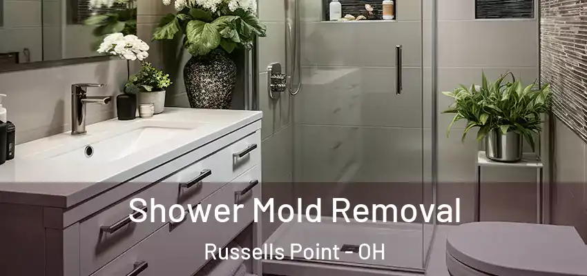  Shower Mold Removal Russells Point - OH