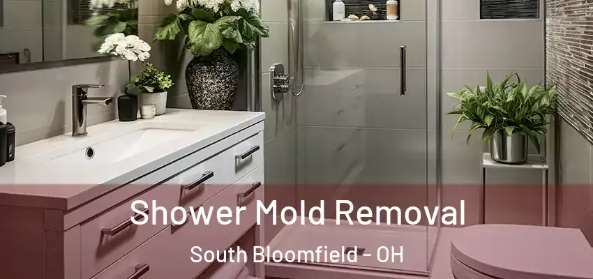  Shower Mold Removal South Bloomfield - OH
